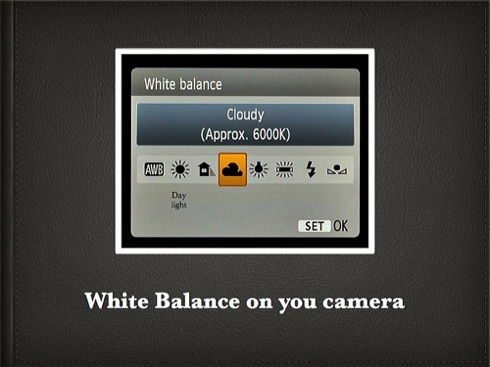 How to White Balance.003.jpg How to White Balance.003.jpg